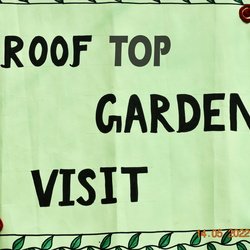 Roof Top Garden Visit